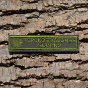 Табличка Терское казачье войско с орлом 120х25 1цв темно-зеленый (Оливковый габардин)