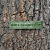 Табличка Северо-Кавказский округ 115х25 1цв темно-зеленый (Зеленый мох)