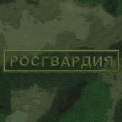 Табличка Росгвардия 125х25 1цв темно-зеленый (Зеленый мох)
