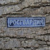 Табличка Росгвардия 105х30 1цв серый (Синяя точка)