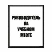 Табличка Руководитель на учебном месте 85х100 1цв черный (Белый габардин)
