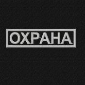 Табличка Охрана 110х30 1цв светло-серый (Черный габардин)