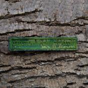 Табличка Следственный комитет России 145х25 1цв темно-зеленый (Зеленая цифра)
