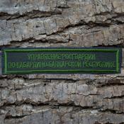 Табличка Управление Росгвардии по КБР 115х25 1цв темно-зеленый (Оливковый габардин)