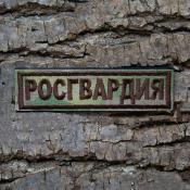 Табличка Росгвардия 105х30 1цв шоколад (Зеленый мох)