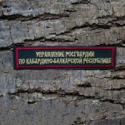 Табличка Управление Росгвардии по КБР 125х25 2цв золото (Сосна, Бордовый кант)