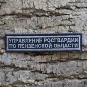 Табличка Управление Росгвардии по Пензенской области 125х25 1цв серый (Черный габардин)