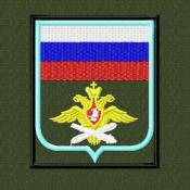 Орел с флагом ВВС (Оливковый габардин)