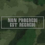 Табличка спина Non progredi est regredi 265х75 1цв серый (Зеленый мох)