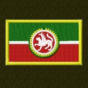 Флаг Татарстана с гербом 75х45 (Оливковый габардин, Желтый кант)