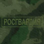 Табличка спина Росгвардия 270х70 1цв темно-зеленый (Зеленый мох)
