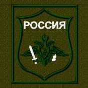 Орел ВС Сухопутный 2цв текст белый (Оливковый габардин)