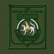 МСБ республики Татарстан ТИМЕР полевой (Оливковый габардин)