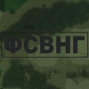 Табличка на спину ФСВНГ 265х75 1цв черный (Зеленый мох)
