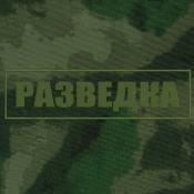Табличка спина Разведка 280х75 1цв темно-зеленый (Зеленый мох)