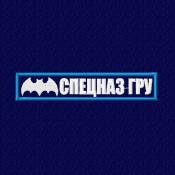 Табличка Спецназ ГРУ мышь 125х25 1цв белый (Темно-синий габардин Голубой кант)