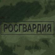 Табличка спина Росгвардия 270х70 1цв черный (Зеленый мох)