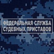 Табличка спина Федеральная Служба СП 275х80 1цв серый светлый (Синяя точка)