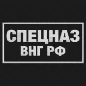 Табличка спина Спецназ ВНГ РФ 160х80 1цв (Черный габардин)
